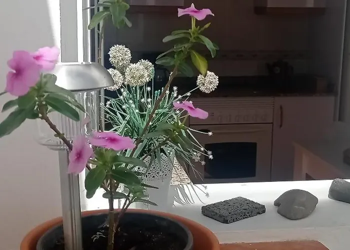 公寓 Gaviota Relax *