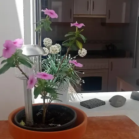 דירה Gaviota Relax *