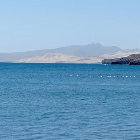 Gaviota Relax