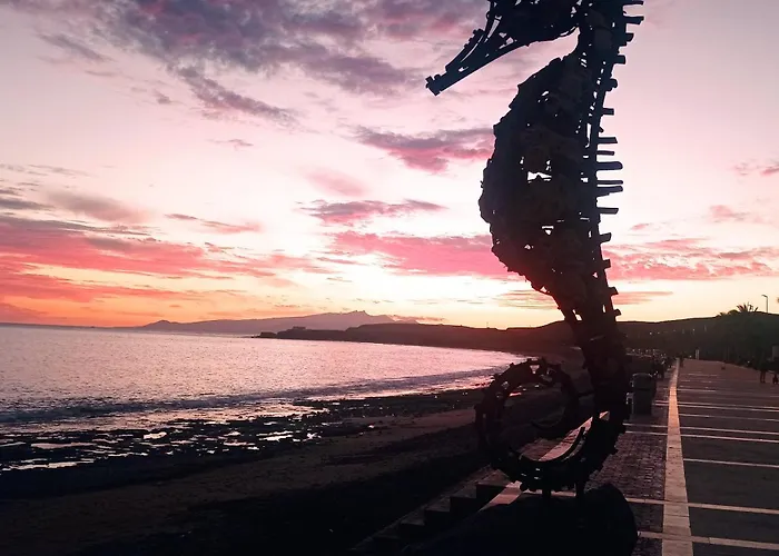 Gaviota Relax タラハレホ